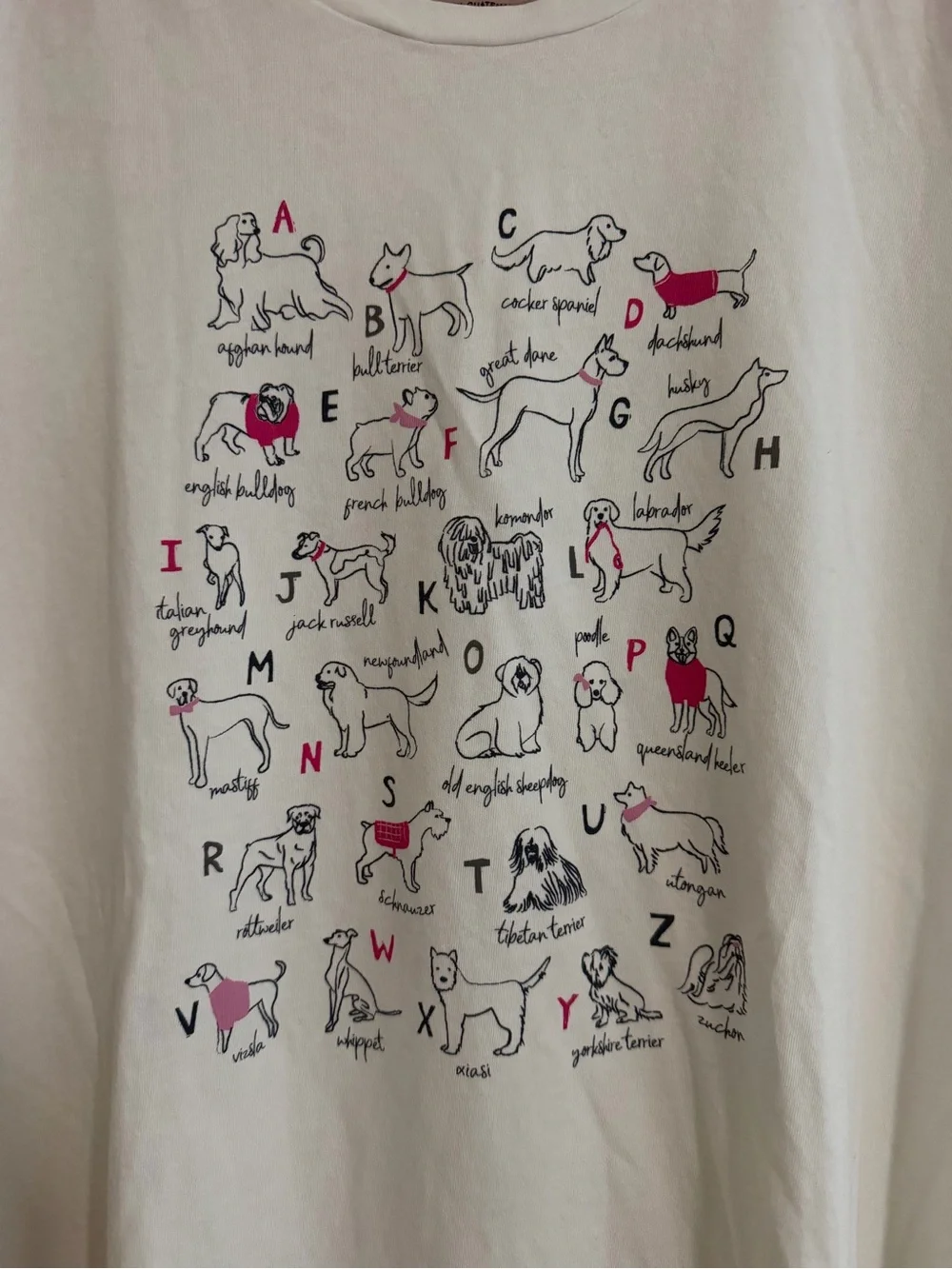 J.Crew Collector Tee Dogs /ABCs Sz Medium
